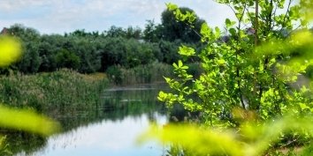 Общественная палата города Краснодара проведет слушания для обсуждения создания лесопарковой "зеленой" зоны в городе 30 октября.